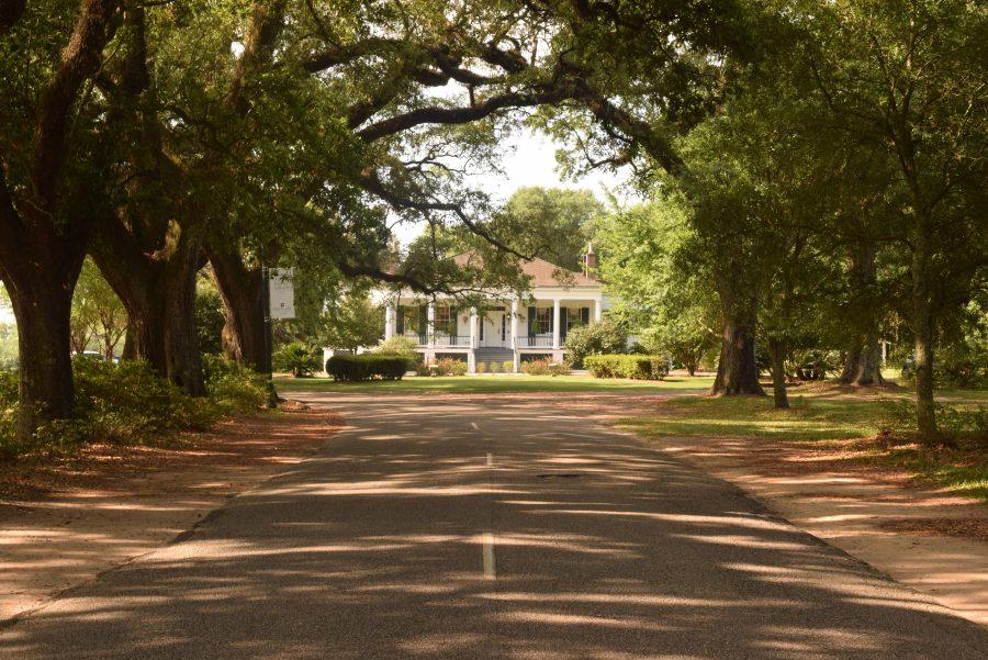 Spring Hill College Avenue of the Oaks